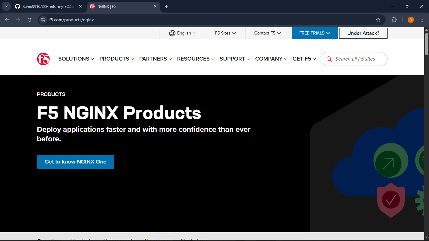 Nginx